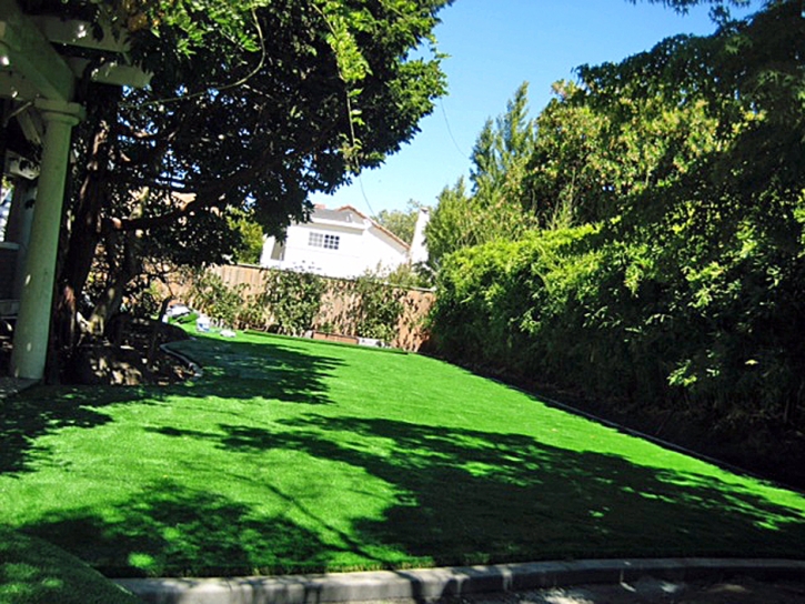 Faux Grass Picacho, Arizona Landscape Ideas, Backyard Ideas