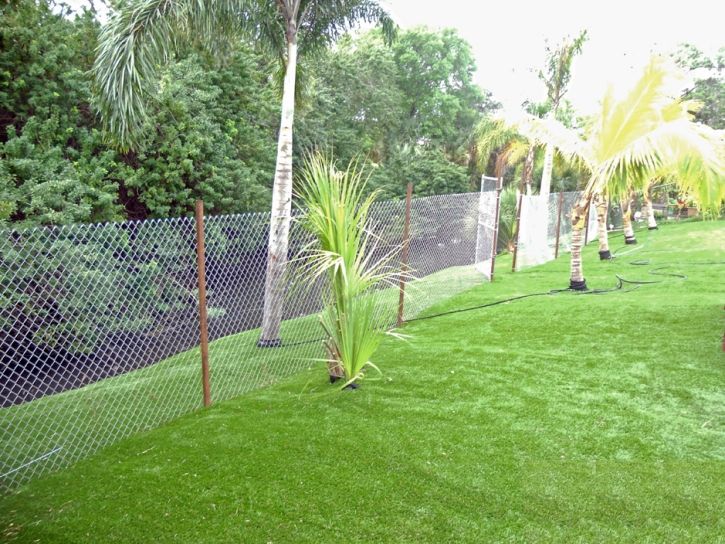 Faux Grass Rio Rico, Arizona Garden Ideas, Backyard Landscaping