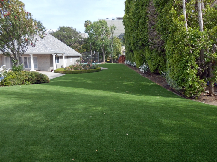 Faux Grass Toyei, Arizona Gardeners, Front Yard Landscape Ideas