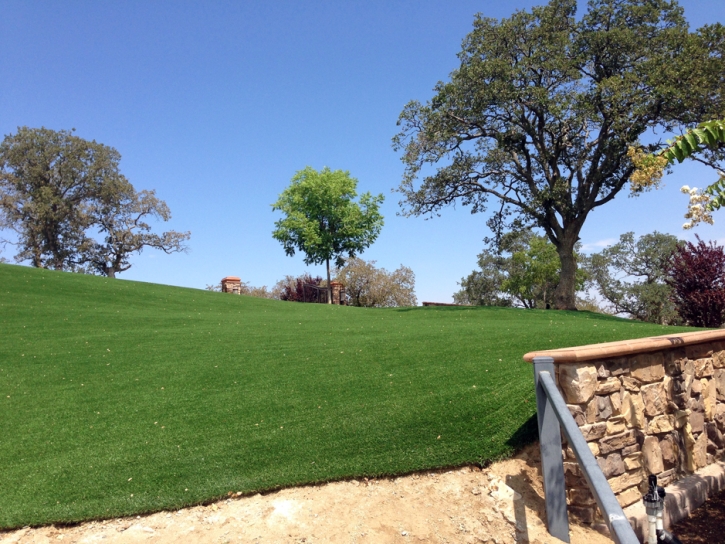 Grass Carpet Ali Molina, Arizona City Landscape, Front Yard Landscape Ideas