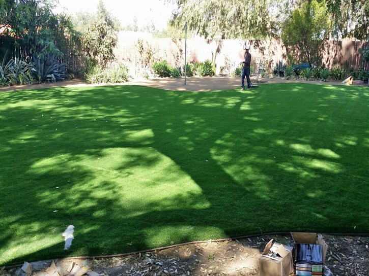 Grass Carpet Citrus Park, Arizona Landscape Photos, Backyard Designs
