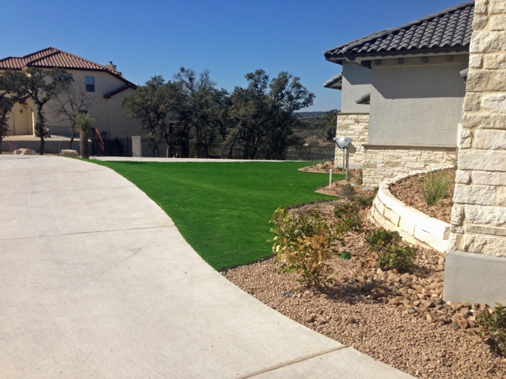 Grass Carpet Eloy, Arizona Landscape Photos, Front Yard