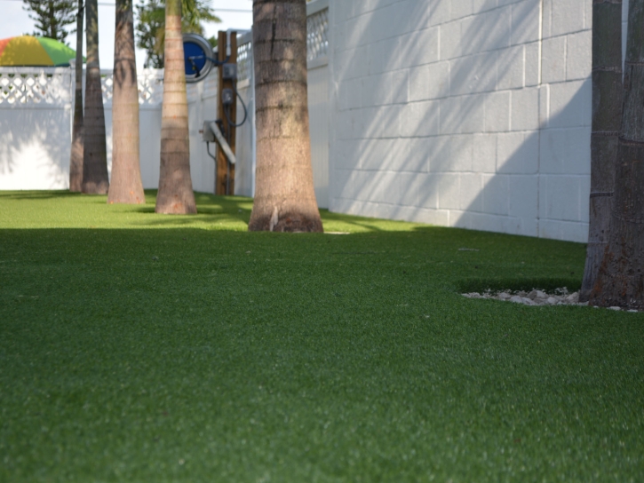 Grass Carpet Gold Camp, Arizona Paver Patio, Commercial Landscape