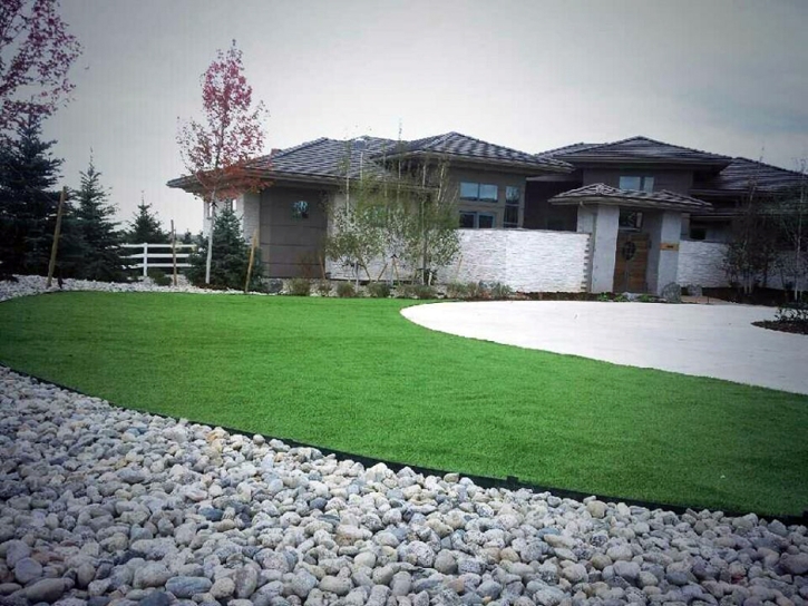 Grass Carpet Katherine, Arizona Home And Garden, Front Yard Landscaping Ideas