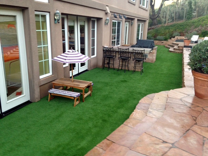 Grass Carpet Moccasin, Arizona Landscaping Business, Backyards
