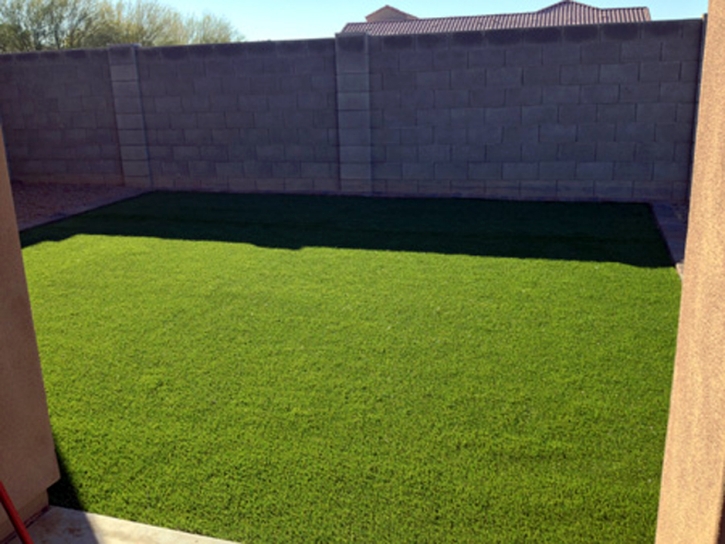 Grass Carpet Oatman, Arizona Landscaping, Backyard Ideas