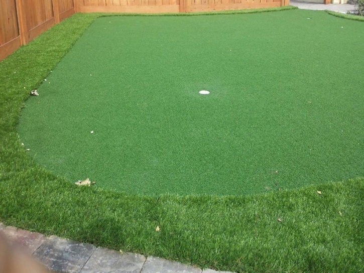 Grass Carpet Patagonia, Arizona Putting Green Grass