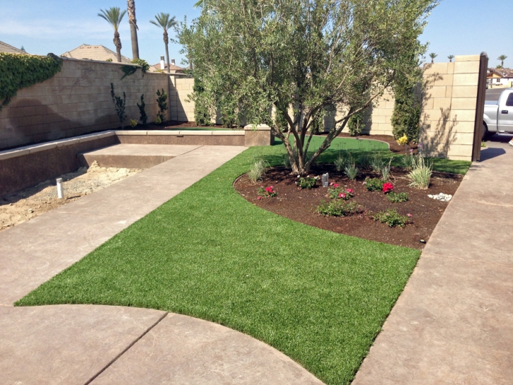 Grass Carpet Rillito, Arizona Landscaping, Front Yard Design