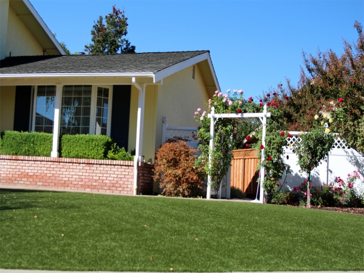 Grass Carpet Surprise, Arizona Lawns, Front Yard Landscape Ideas