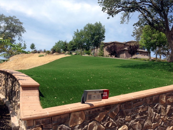 Grass Carpet Tsaile, Arizona Lawns, Front Yard Landscaping Ideas