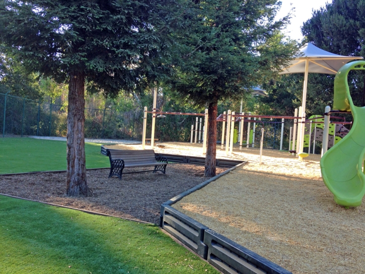 Grass Carpet Washington Park, Arizona Indoor Playground