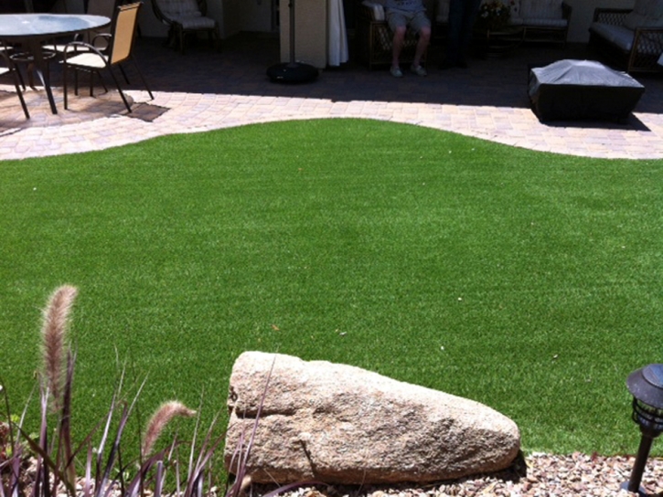 Grass Carpet Whispering Pines, Arizona Dog Hospital, Backyard Garden Ideas
