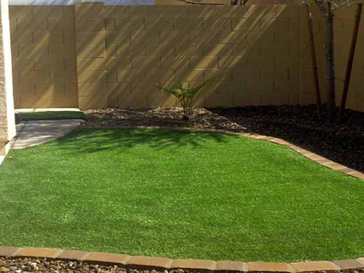 Grass Installation Rio Rico, Arizona Roof Top, Backyard Landscaping Ideas