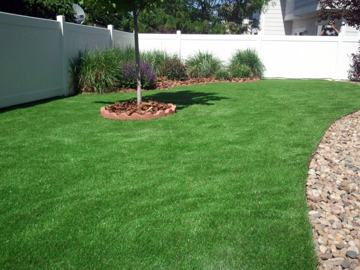 Grass Turf Buckeye, Arizona Landscaping, Backyard Ideas