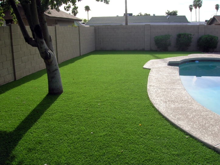 Grass Turf Dennehotso, Arizona Landscaping, Backyard Designs