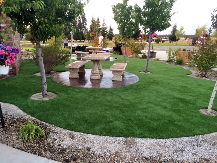 Grass Turf Kearny, Arizona Indoor Playground, Commercial Landscape