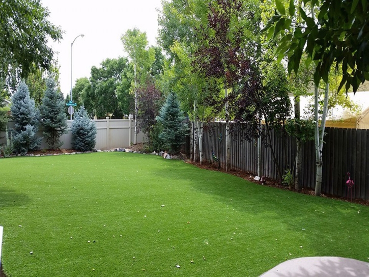 Grass Turf McNeal, Arizona Landscaping Business, Backyard Landscape Ideas