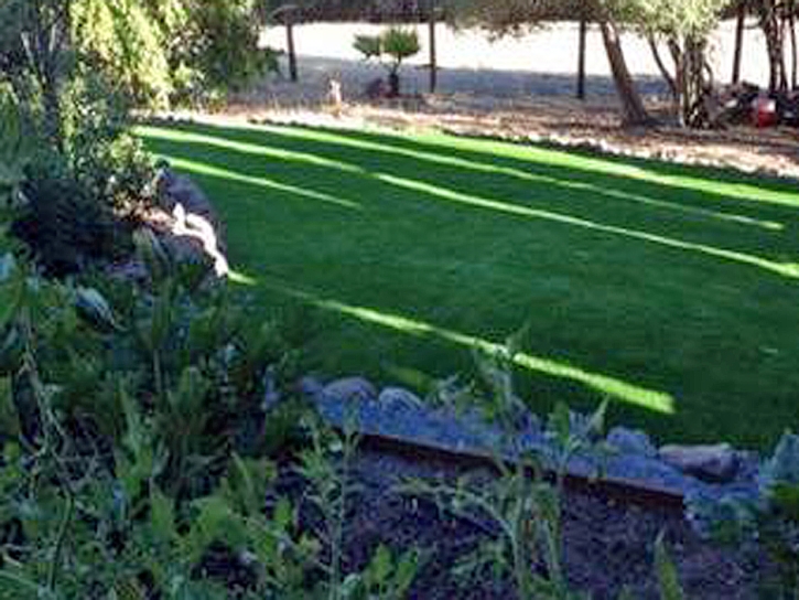 Grass Turf Oak Springs, Arizona Landscape Rock, Backyard Designs