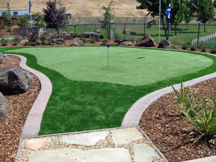 Grass Turf Pinon, Arizona Best Indoor Putting Green, Backyard Landscape Ideas