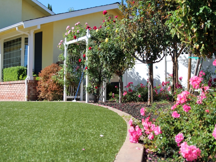 Grass Turf Queen Creek, Arizona Landscape Design, Front Yard Landscaping