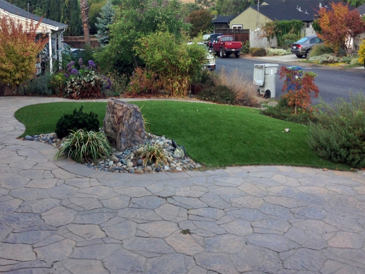 Grass Turf South Tucson, Arizona Lawn And Landscape, Front Yard Design