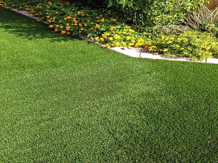 Grass Turf Three Points, Arizona Rooftop, Front Yard Landscaping
