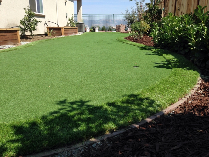 Green Lawn Campo Bonito, Arizona Roof Top, Backyard Designs