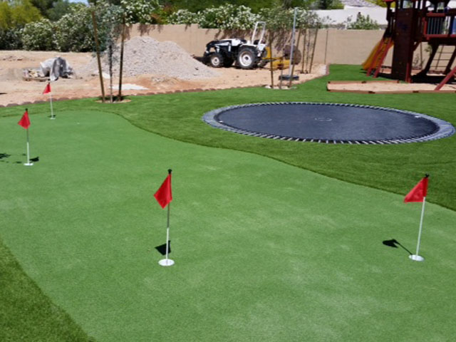 Green Lawn Congress, Arizona Outdoor Putting Green, Backyards