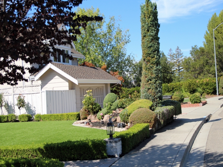 Green Lawn Lukachukai, Arizona City Landscape, Front Yard Ideas