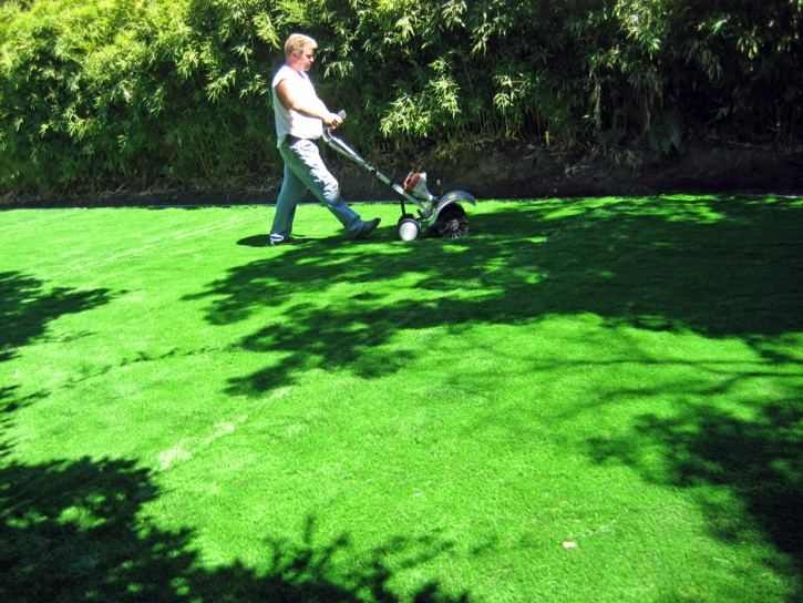 Green Lawn Nelson, Arizona Landscape Design, Backyard Garden Ideas