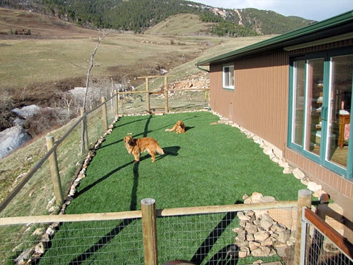 Green Lawn Peeples Valley, Arizona Indoor Dog Park, Small Backyard Ideas
