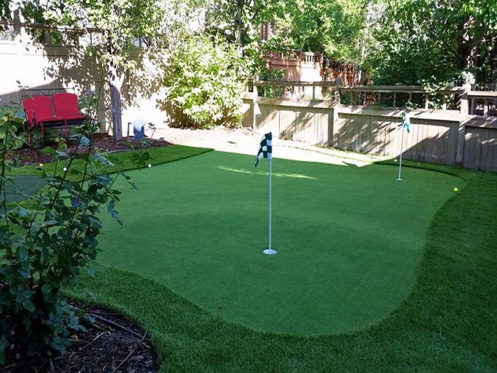 Green Lawn Pinon, Arizona Rooftop, Backyard Landscaping