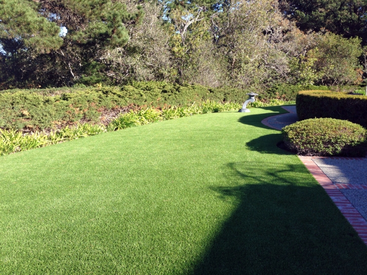 Green Lawn Taylor, Arizona Roof Top, Landscaping Ideas For Front Yard