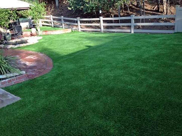 Green Lawn Tumacacori-Carmen, Arizona Backyard Playground, Backyards