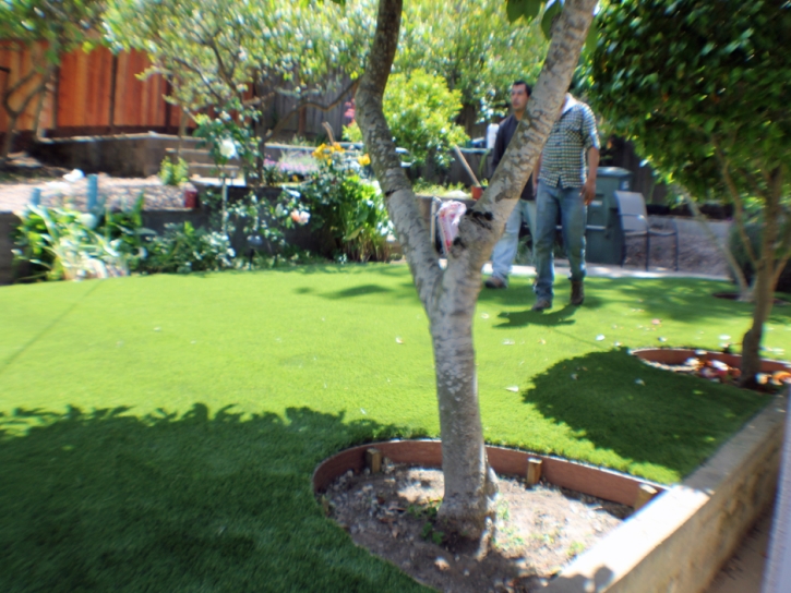 Green Lawn Youngtown, Arizona Lawn And Garden, Backyards