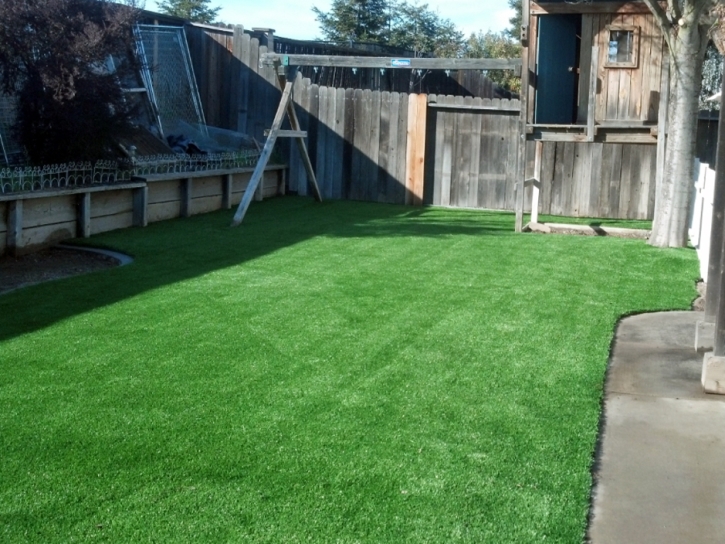 How To Install Artificial Grass Avondale, Arizona Landscape Design, Backyard Landscaping