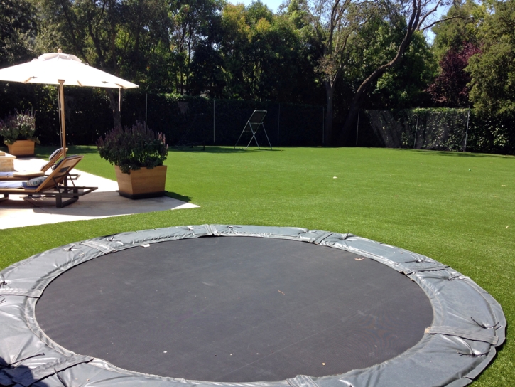 How To Install Artificial Grass Pisinemo, Arizona Landscape Ideas, Backyard Landscaping