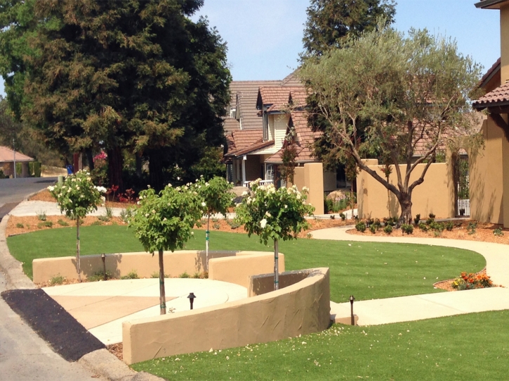 How To Install Artificial Grass Red Mesa, Arizona Backyard Deck Ideas, Front Yard Design