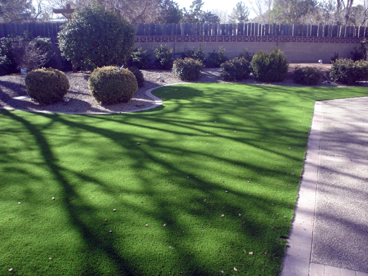 Installing Artificial Grass Bluewater, Arizona Rooftop, Front Yard