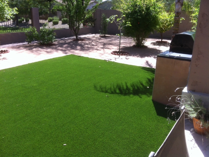 Installing Artificial Grass Cave Creek, Arizona Dog Grass, Backyard Garden Ideas