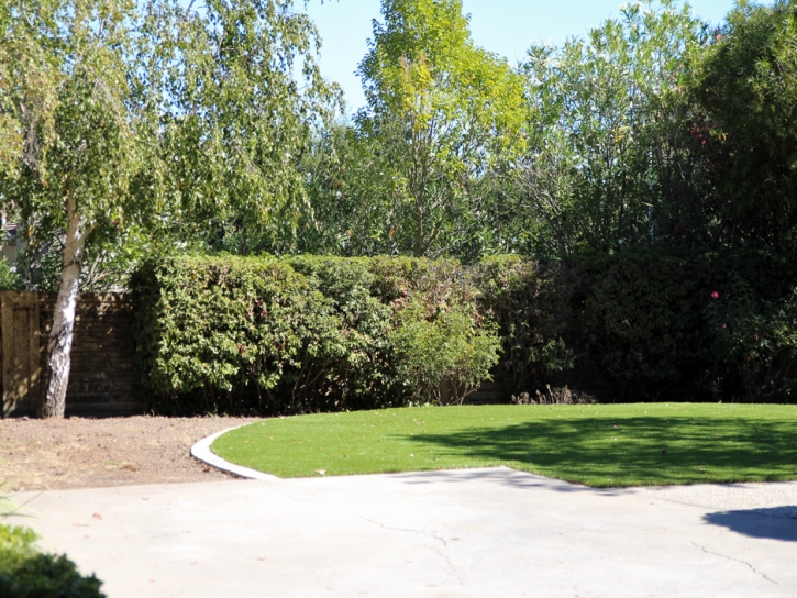 Installing Artificial Grass Sacaton, Arizona Backyard Playground, Beautiful Backyards