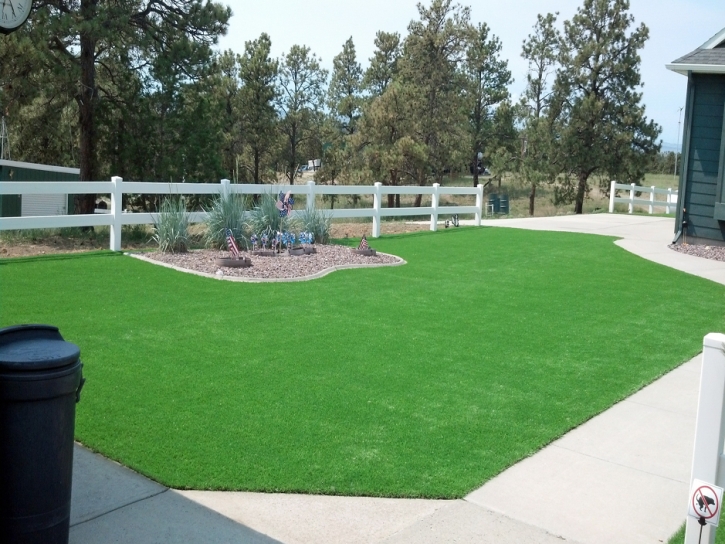 Installing Artificial Grass Tat Momoli, Arizona Roof Top, Front Yard