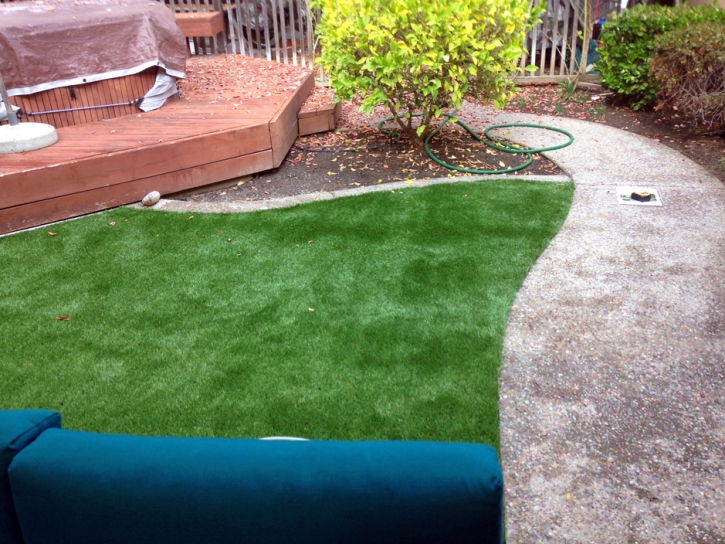 Lawn Services Cibola, Arizona Gardeners, Backyard Design