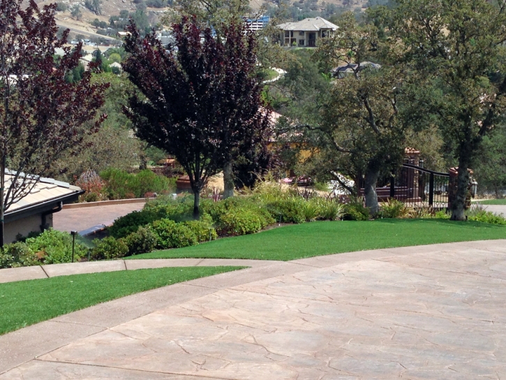 Lawn Services Congress, Arizona Landscape Photos, Landscaping Ideas For Front Yard