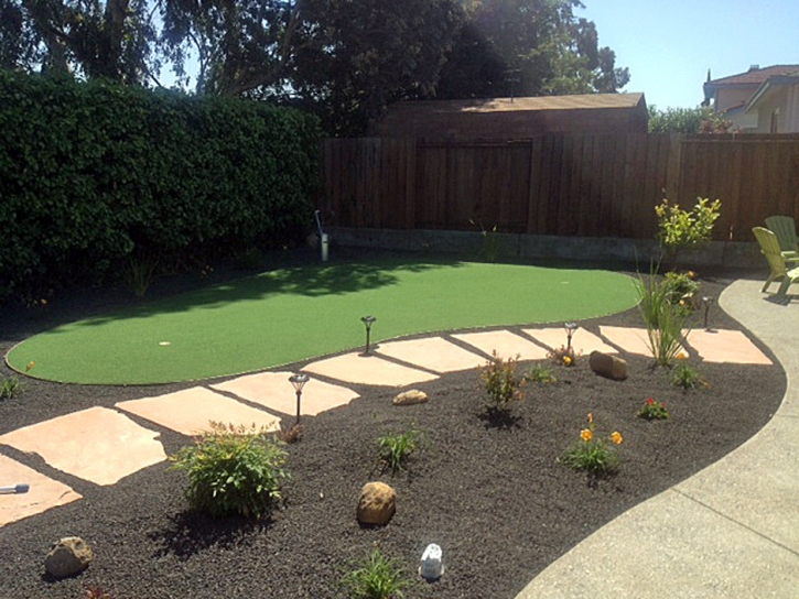 Lawn Services Drexel Heights, Arizona Putting Green Turf, Backyards