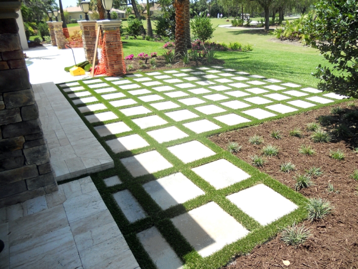 Lawn Services Gadsden, Arizona City Landscape, Backyard Makeover