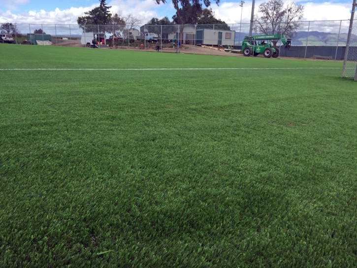 Lawn Services Page, Arizona Softball