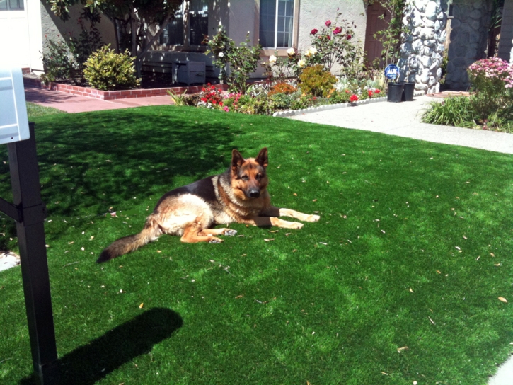 Lawn Services Williamson, Arizona Lawn And Landscape, Front Yard Landscaping Ideas