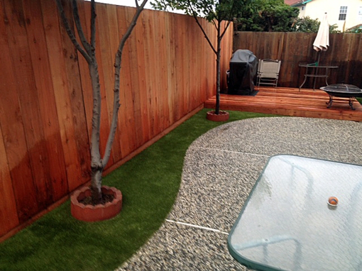 Outdoor Carpet Chinle, Arizona Pet Turf, Small Backyard Ideas