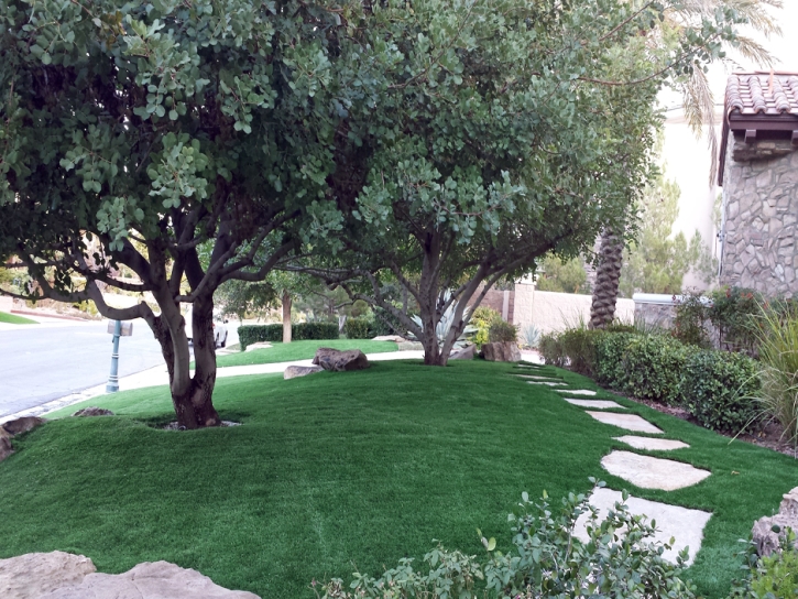 Outdoor Carpet Concho, Arizona Lawn And Landscape, Front Yard Landscaping Ideas